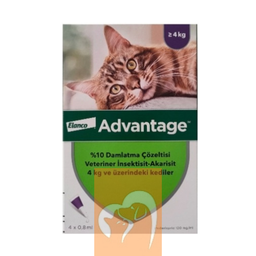 Advantage 4-8 Kg Kediler İçin Dış Parazit Ense Damla 0.8 Ml (1 Kutu 4 Pipet İçerir) SKT:2027