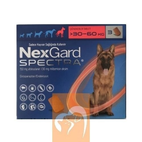 Nexgard Spectra 30-60 Kg Köpekler için İç Dış Parazit 3 Tablet SKT:09.2027