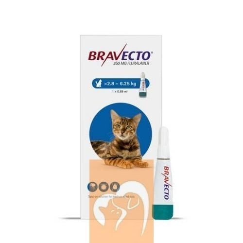 Bravecto Spot-On Kedi 250mg (2.8kg-6.25 Kg) 1 Pipet  SKT 2027
