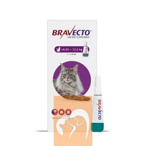 Bravecto Spot-On Kedi (6.25kg-12.5 Kg) 1 Pipet  SKT 2027
